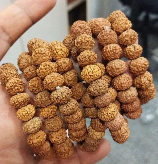 ShivAura™ 7 Mukhi Rudraksha