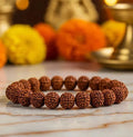 ShivAura™ 7 Mukhi Rudraksha